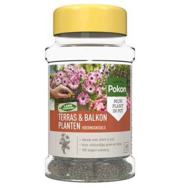 Pokon Voedingskegels Terras&Balkon Planten 40 stuks