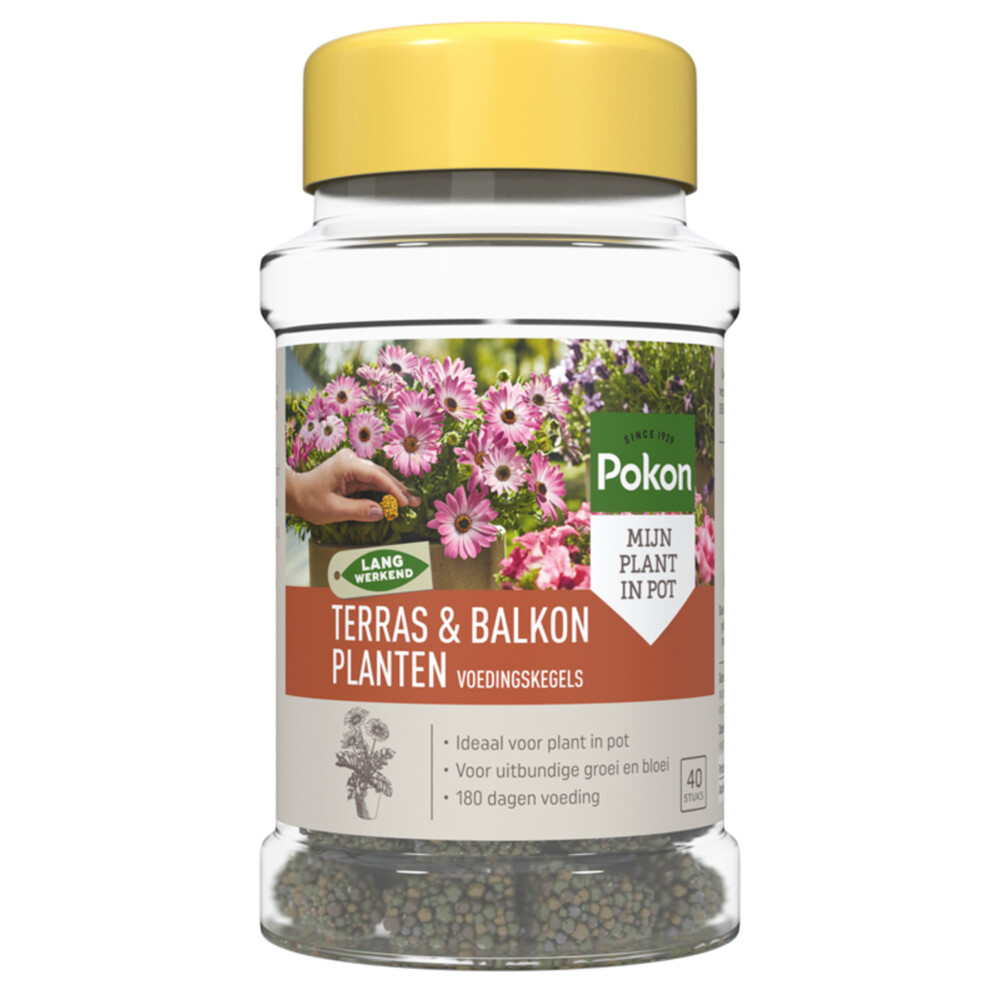 Pokon Voedingskegels Terras&Balkon Planten 40 stuks