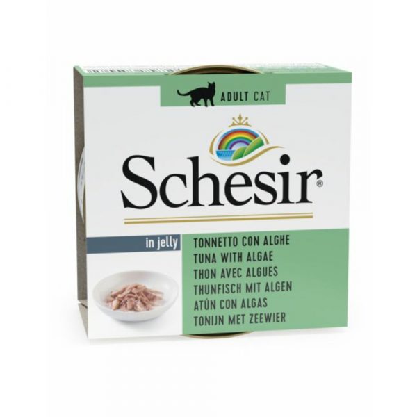 14x Schesir Kattenvoer Tonijn en Zeewier in Gelei 85 gr