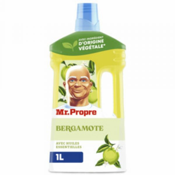 6x Mr. Propre Allesreiniger Bergamot 1000 ml