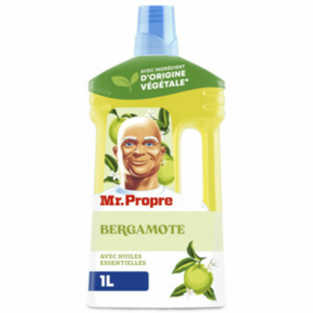 6x Mr. Propre Allesreiniger Bergamot 1000 ml