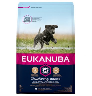 Eukanuba Dog Developing Junior Large 3 kg