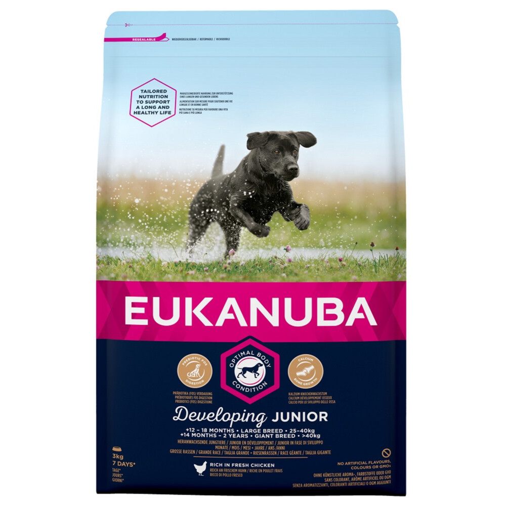 Eukanuba Dog Developing Junior Large 3 kg