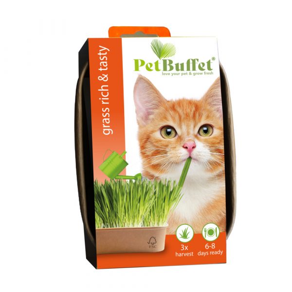 Baza Pet-Buffet Katengras Rich&Tasty Poes Set 3 x Kweken