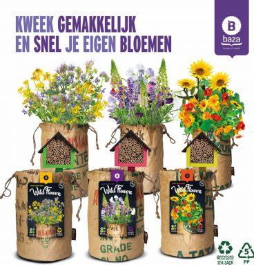 3x Baza Wildbloemen met Bijenhotel Pakket