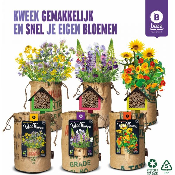 3x Baza Wildbloemen met Bijenhotel Pakket