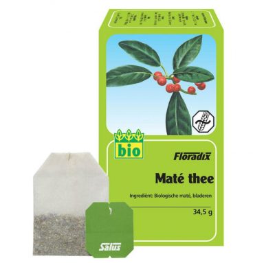 Salus Floradix Biologische Theezakjes Mate 15 zakjes