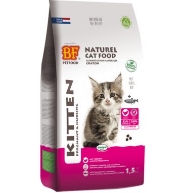 BF Petfood Kittenvoer 1