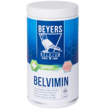 Beyers Belvimin voor Duiven 1