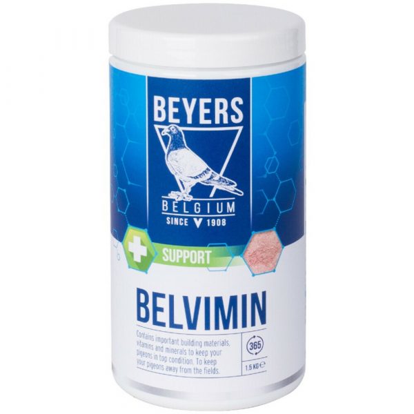 Beyers Belvimin voor Duiven 1