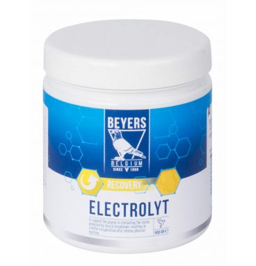 Beyers Elektrolyt 500 gr