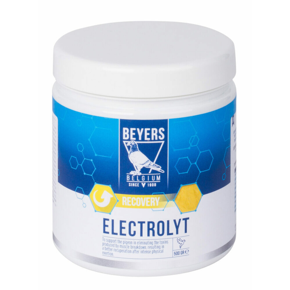 Beyers Elektrolyt 500 gr