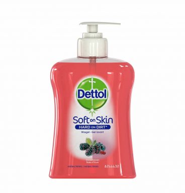 Dettol Handzeep Winter Bessen 250 ml