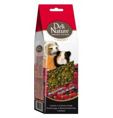 Deli Nature Snacks Cavia Bosvruchten 80 gr