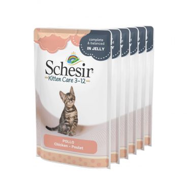 Schesir Kattenvoer Kitten 3-12 Pouch Kip in Gelei 6 x 85 gr