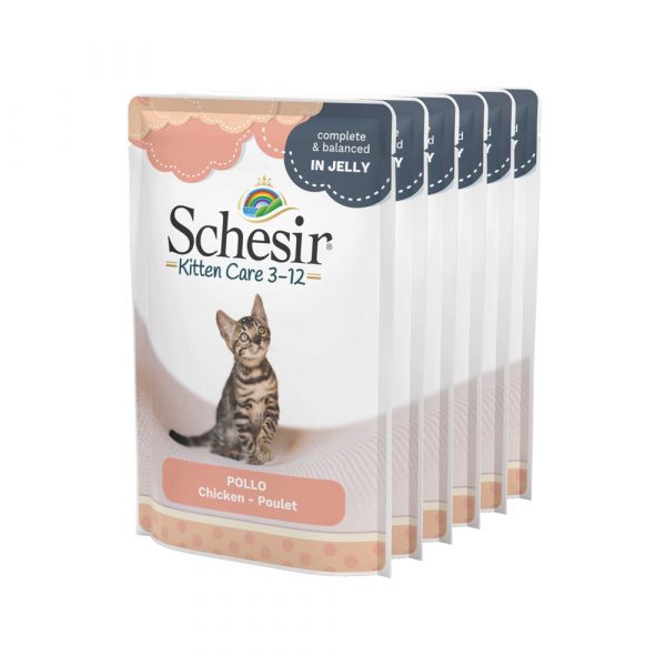 Schesir Kattenvoer Kitten 3-12 Pouch Kip in Gelei 6 x 85 gr