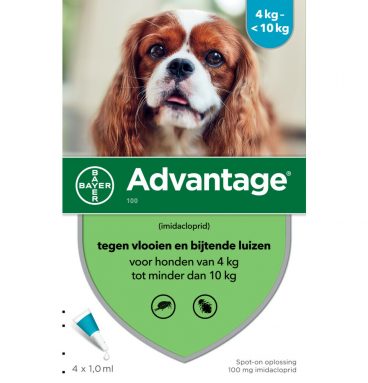 Advantage 100 Anti Vlooien en Teken Druppels Hond 4 - 10 kg 4 pipetten 1