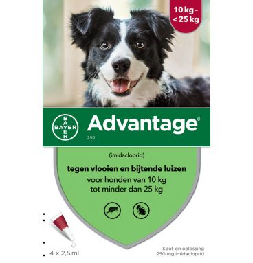 Advantage Anti Vlooiendruppels Hond 10 - 25 kg 4 pipetten 2