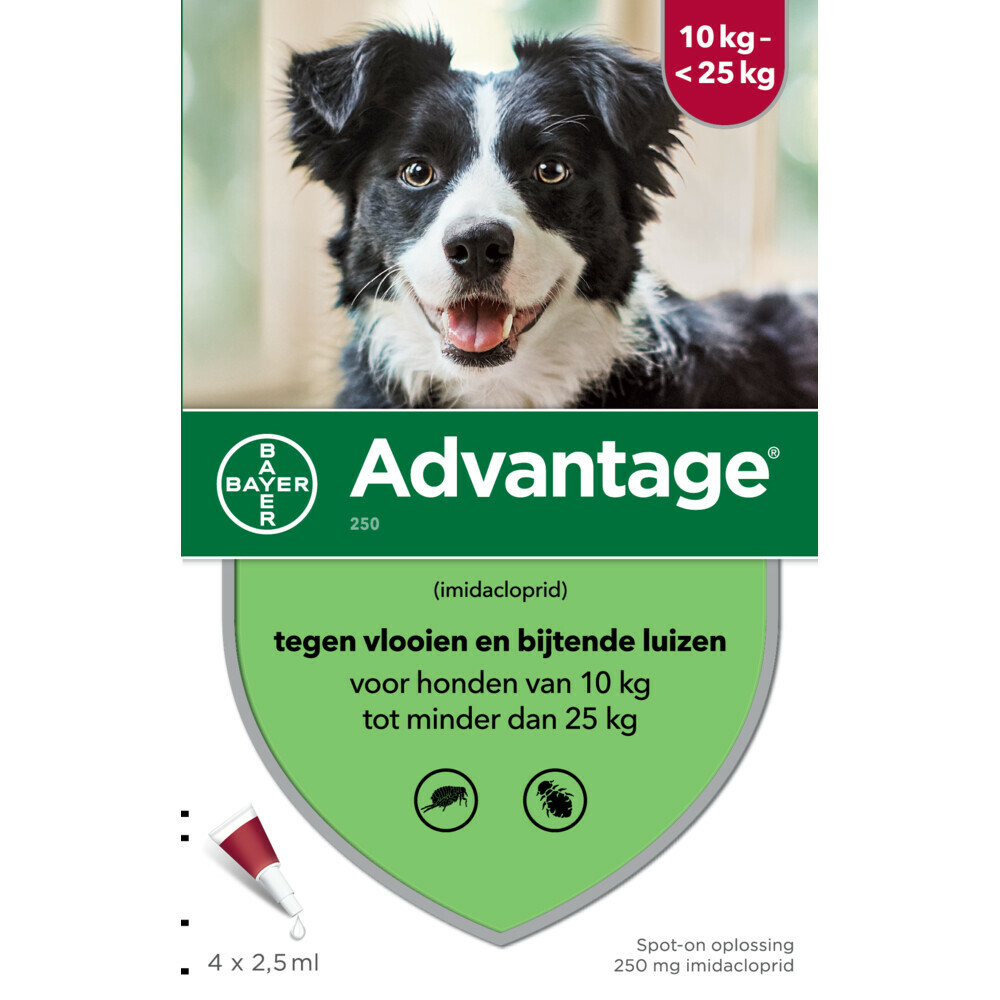 Advantage Anti Vlooiendruppels Hond 10 - 25 kg 4 pipetten 2