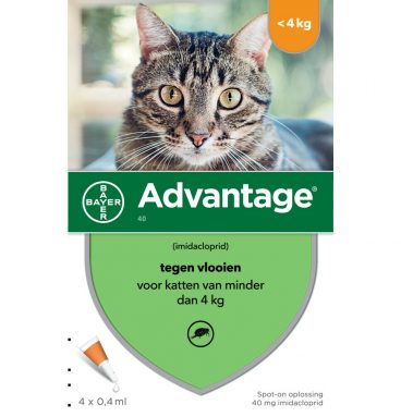 Advantage Anti Vlooiendruppels Kat tot 4 kg 4 pipetten 0