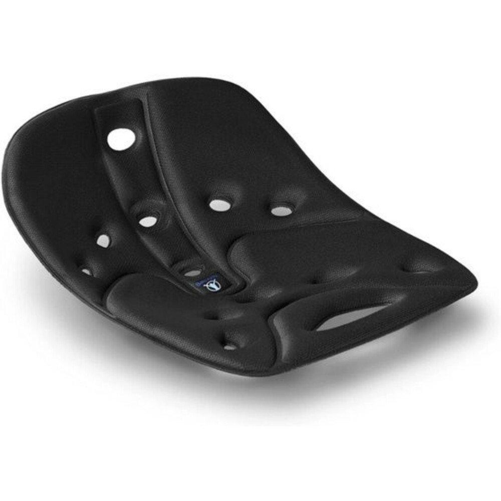 Backjoy Sitsmart Pro Gel Seat