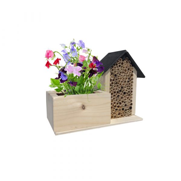 Baza Bee Hotel Met Bio Bloemen Lathyrus