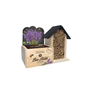 Baza Bee Hotel Met Bio Bloemen Lavendel