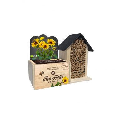 Baza Bee Hotel Met Bio Bloemen Zonnebloem