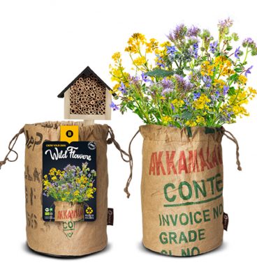 Baza Bio Wildbloemen Met Insectenhotel Geel