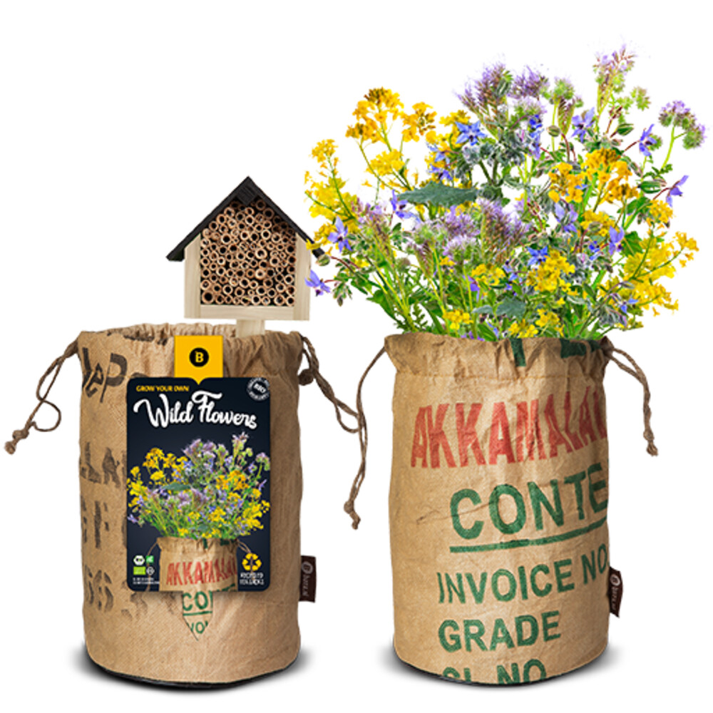 Baza Bio Wildbloemen Met Insectenhotel Geel