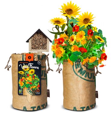 Baza Bio Wildbloemen Met Insectenhotel Oranje