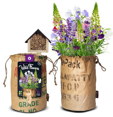 Baza Bio Wildbloemen Met Insectenhotel Paars