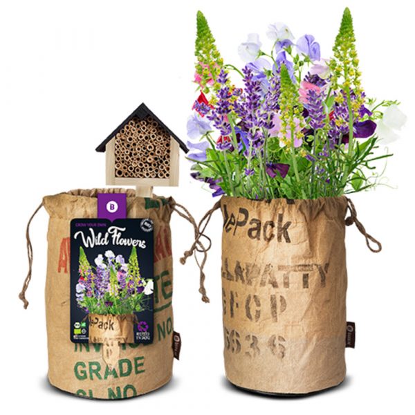 Baza Bio Wildbloemen Met Insectenhotel Paars