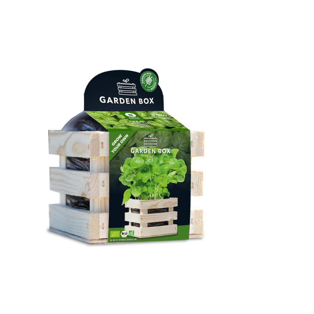 Baza Garden Box Bio Basilicum