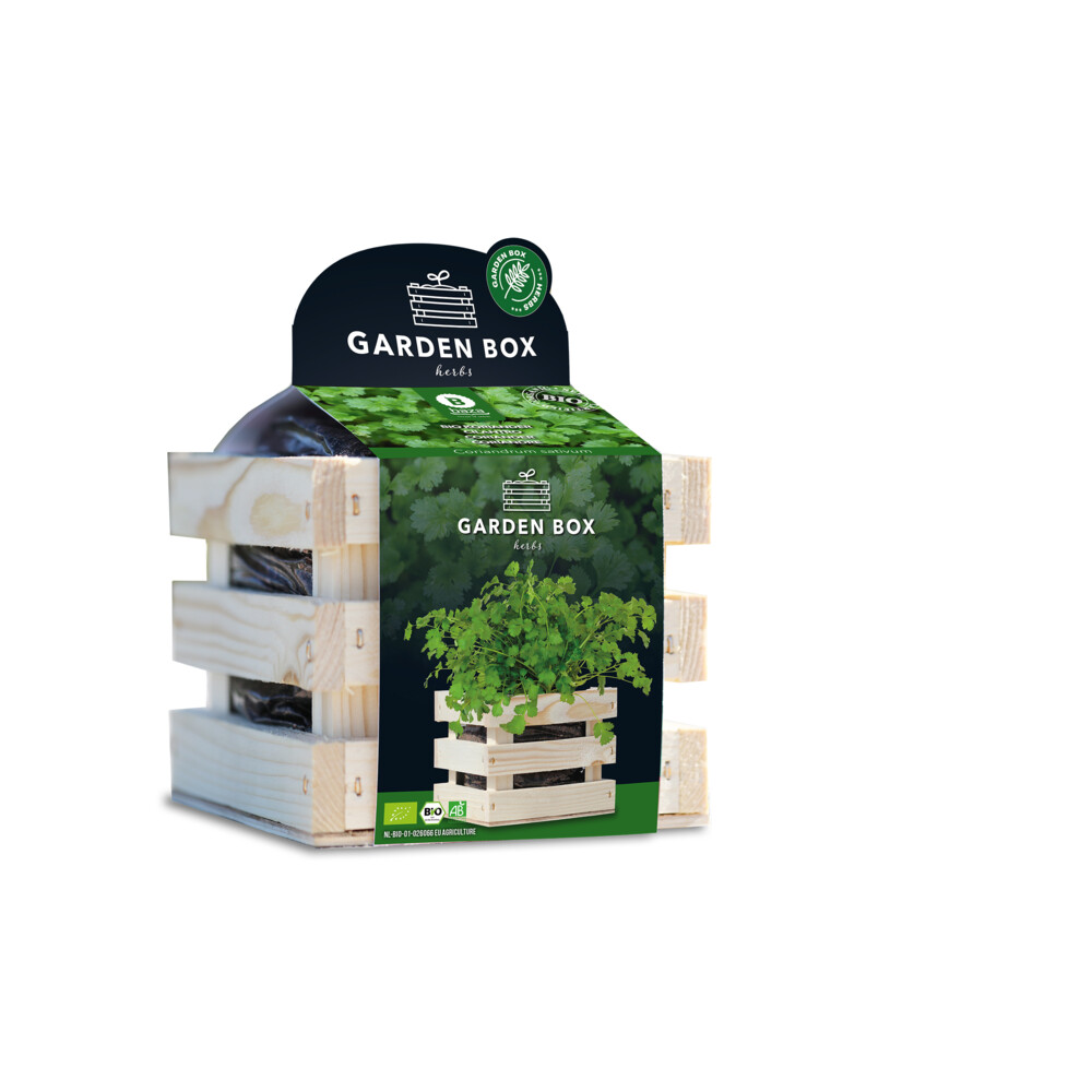 Baza Garden Box Bio Koriander