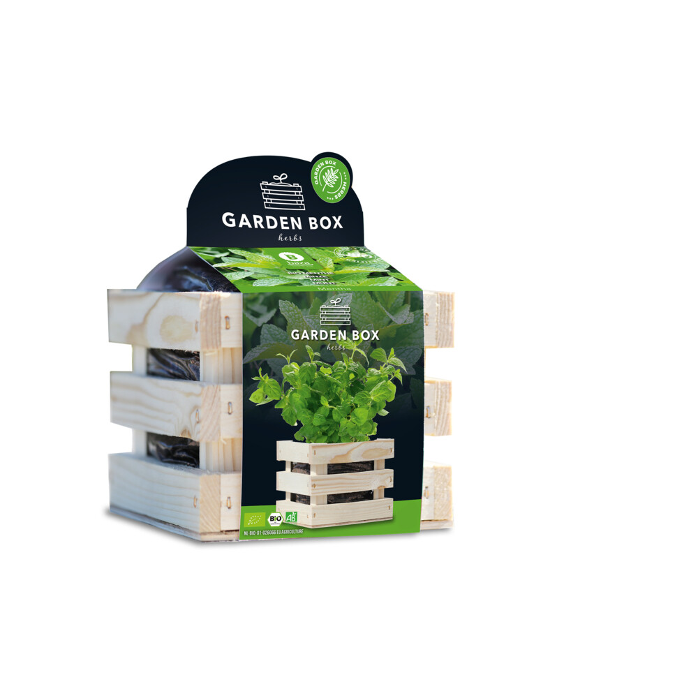 Baza Garden Box Bio Munt