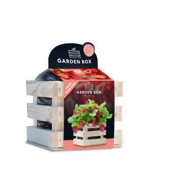 Baza Garden Box Strawberry Extra Zoete Aardbei