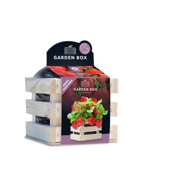 Baza Garden Box Strawberry Reuze Aardbei