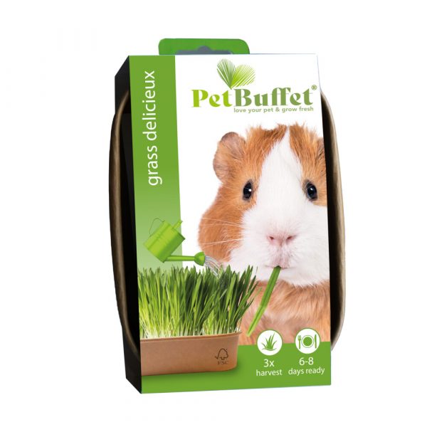 3x Baza Pet-Buffet Delisieux Cavia Set 3 x Kweken