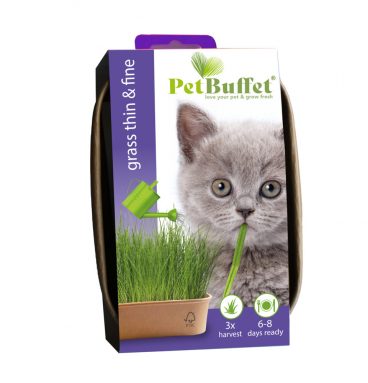 3x Baza Pet-Buffet Kattengras Thin&Fine Kitten