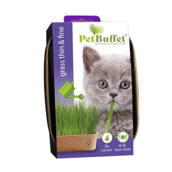 3x Baza Pet-Buffet Kattengras Thin&Fine Kitten