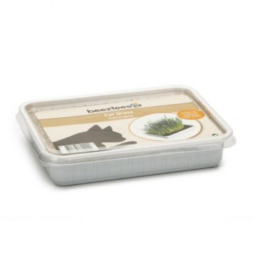 Beeztees Kattengras in Plastic Box 130 gram