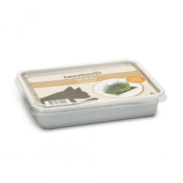 Beeztees Kattengras in Plastic Box 130 gram