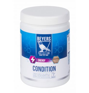 6x Beyers Condition 600 gr