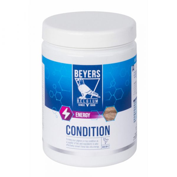 6x Beyers Condition 600 gr