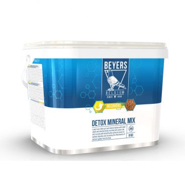 Beyers Detox Mineral Mix 8 kg