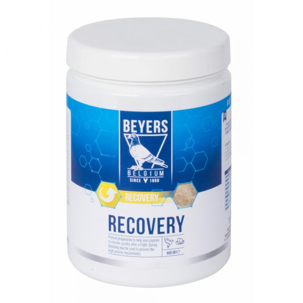 6x Beyers Recovery 600 gr