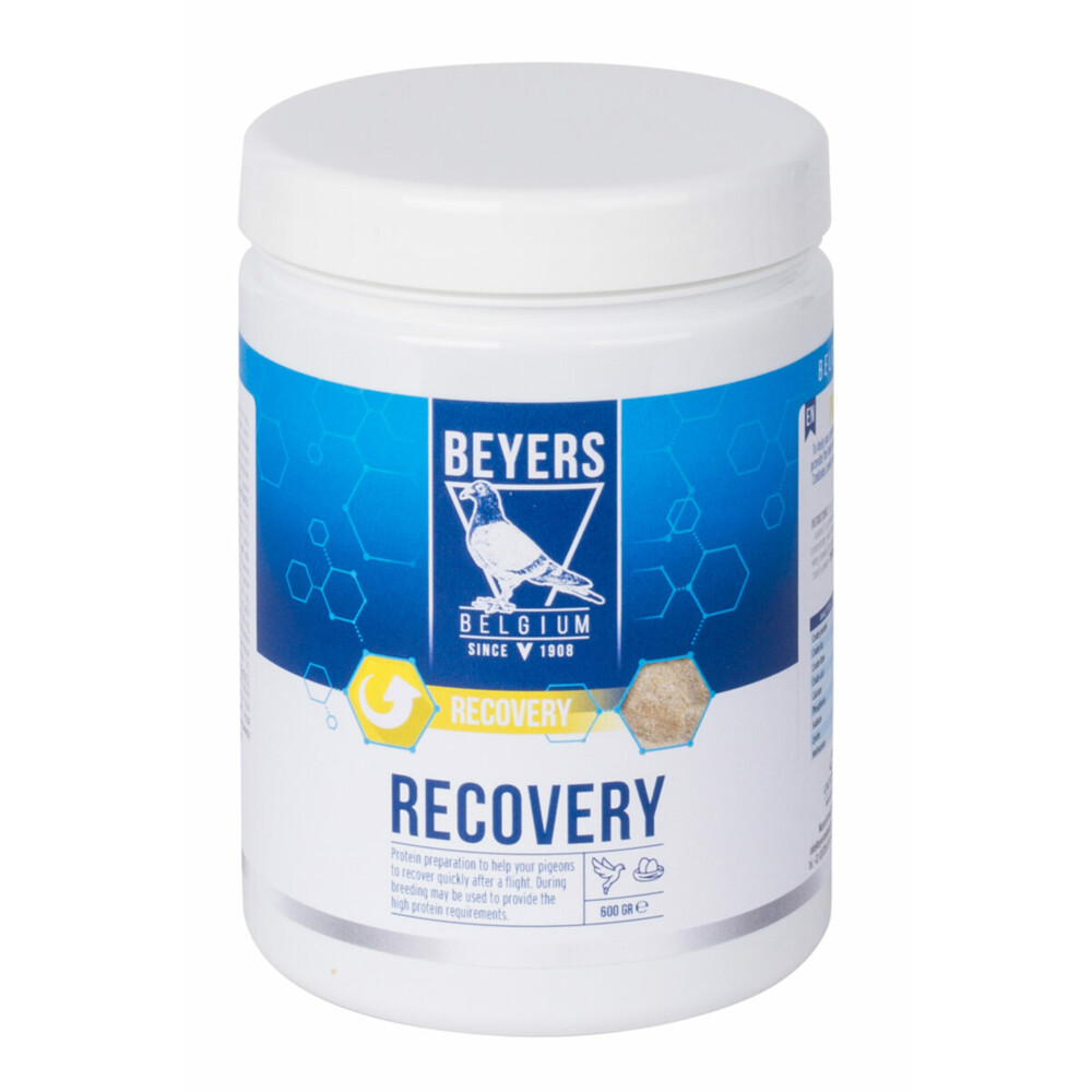 6x Beyers Recovery 600 gr