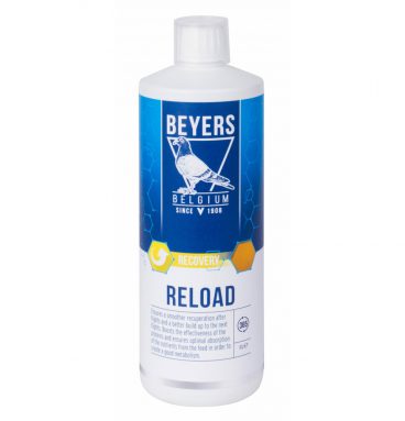 6x Beyers Reload 1 liter