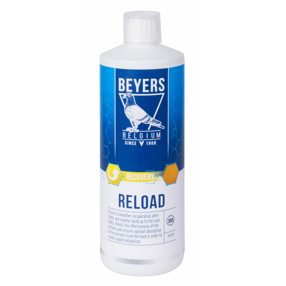 6x Beyers Reload 1 liter